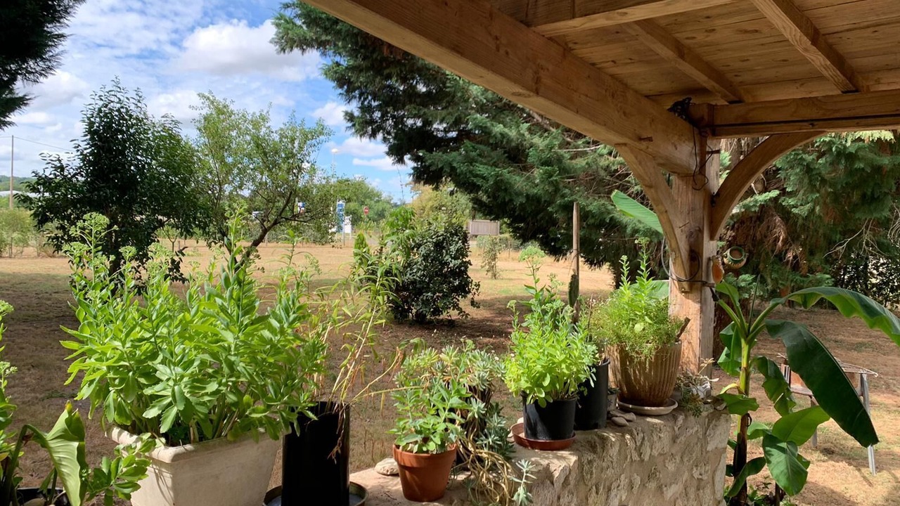 Photo of Outdoor in Saint-Avit-Saint-Nazaire