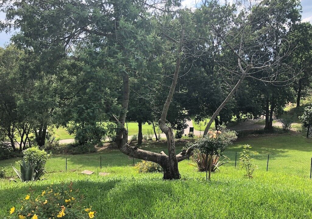 Photo of Outdoor in Bassussarry