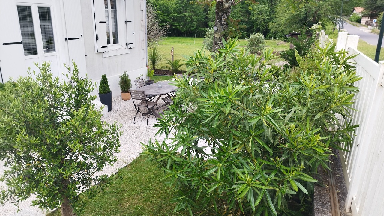 Photo of Outdoor in Onesse-et-Laharie
