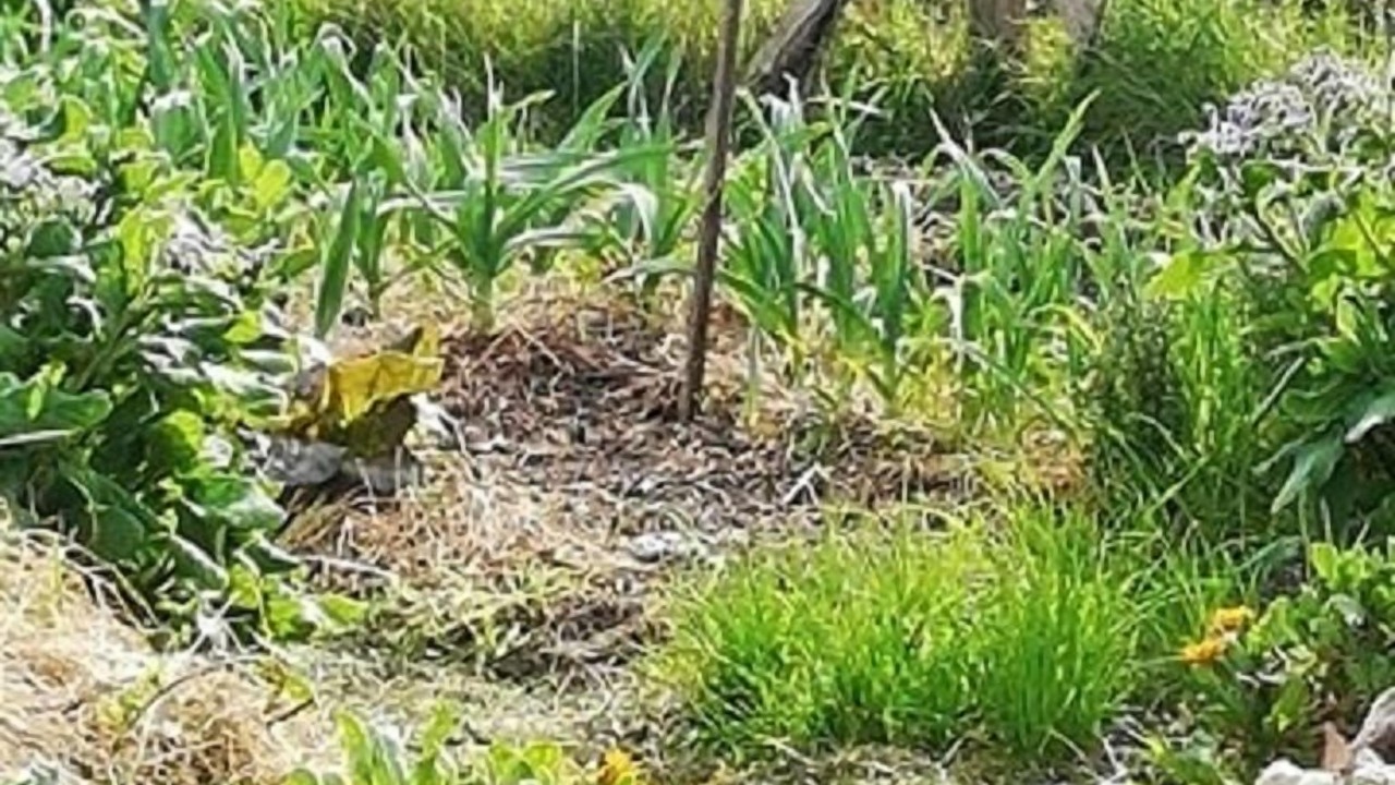Photo of Outdoor in Bouteilles-Saint-Sebastien