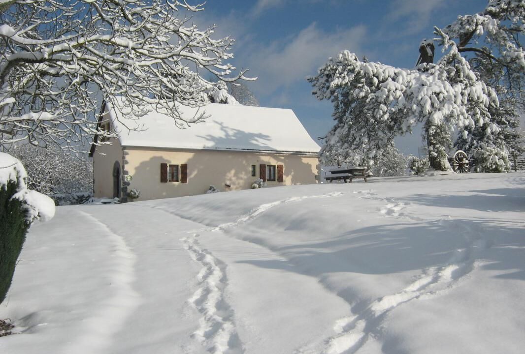 Photo of Outdoor in Arette