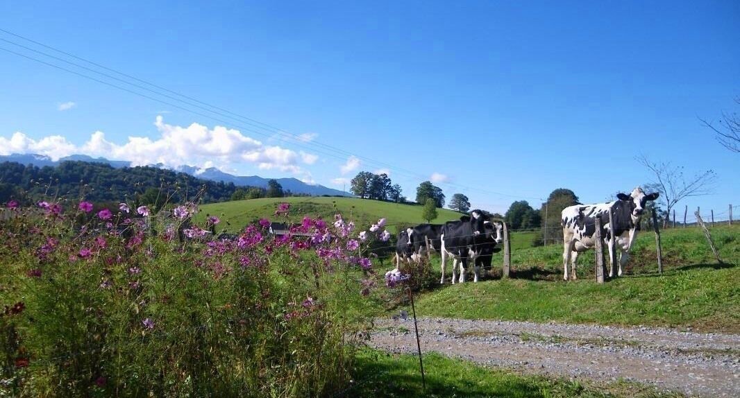 Photo of Outdoor in Rebenacq
