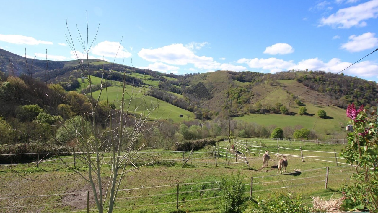 Photo of Outdoor in Barcus