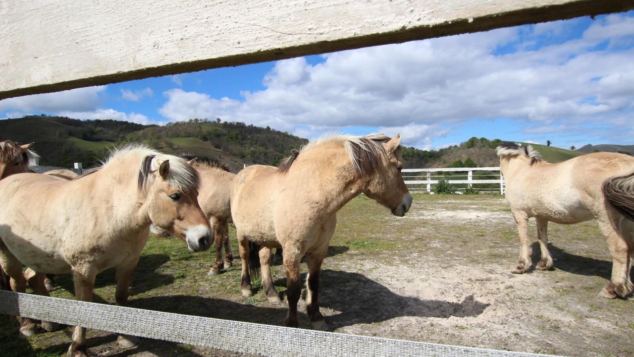Photo of Others in Barcus