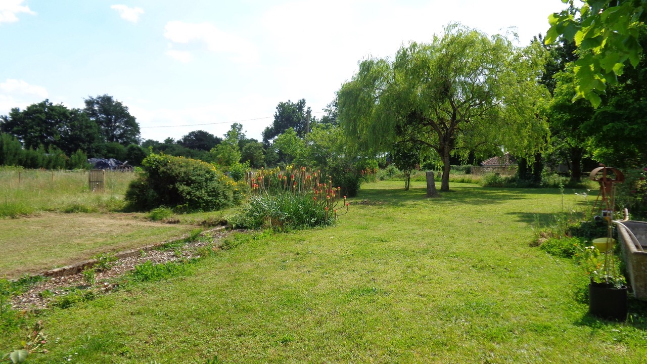 Photo of Outdoor in Thenezay