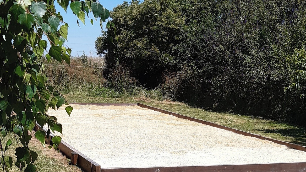 Photo of Outdoor in Thenezay