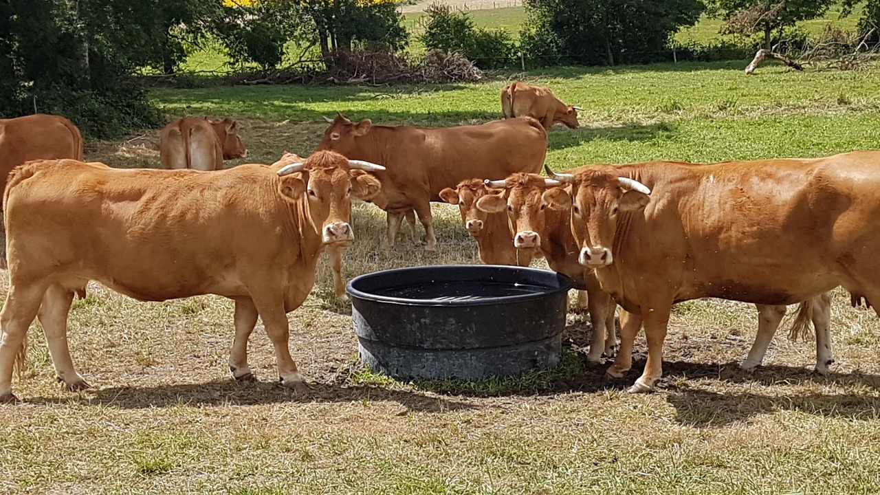 Photo of Outdoor in Montboyer