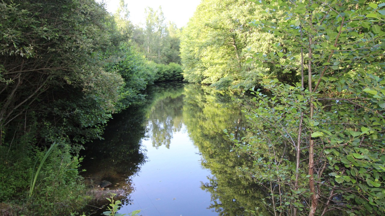Photo of Outdoor in Cercoux