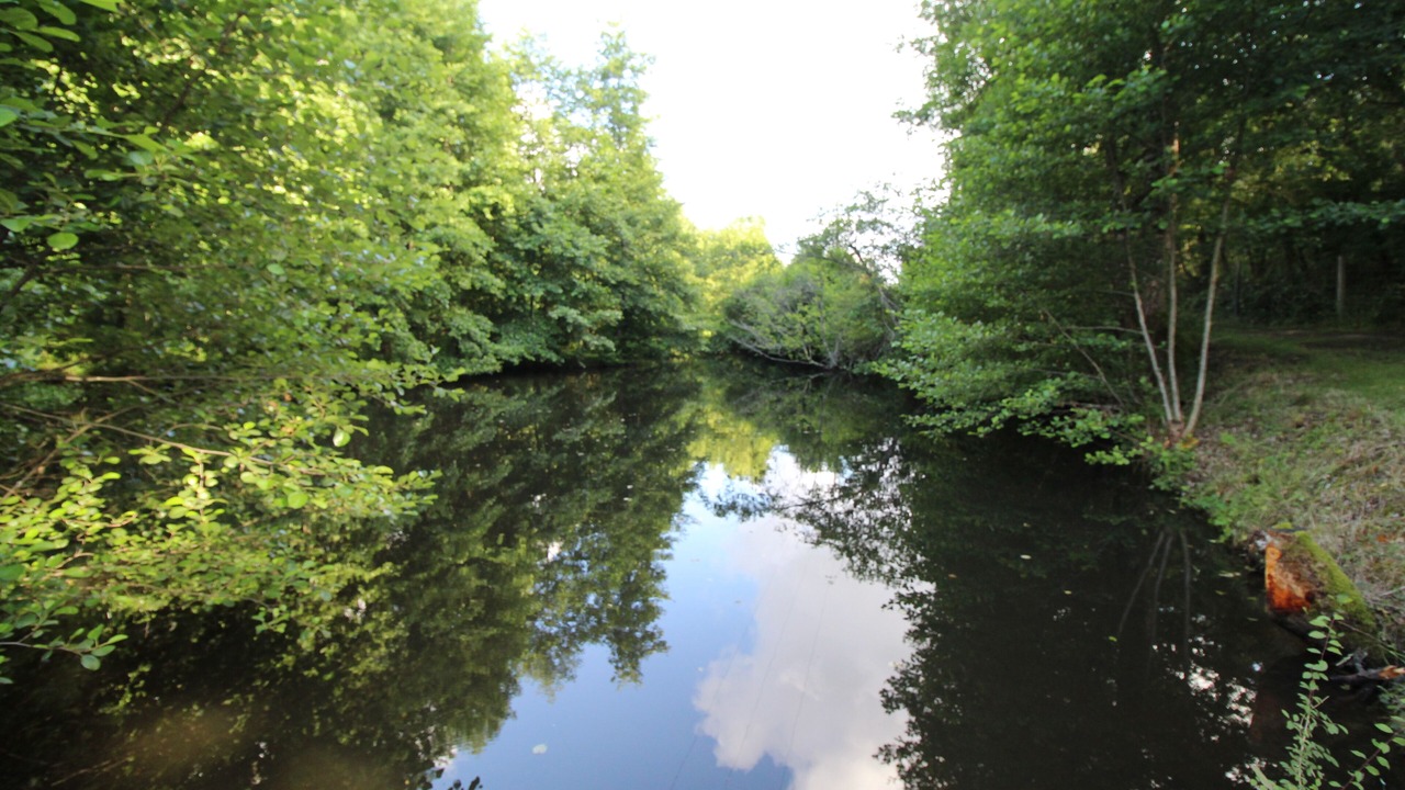 Photo of Outdoor in Cercoux