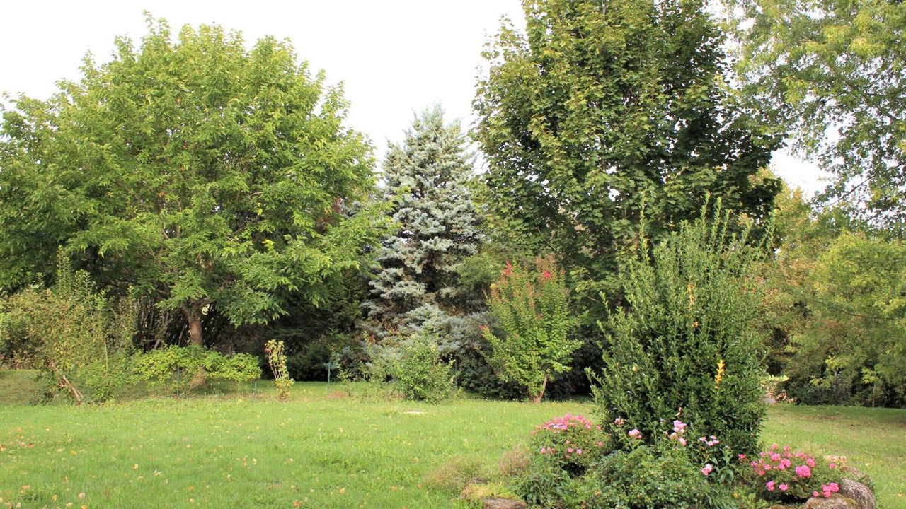 Photo of Outdoor in Saint-Amand-de-Belves