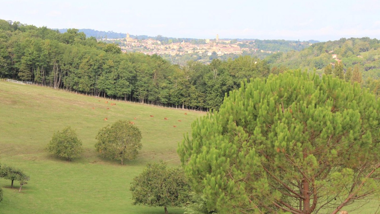 Photo of Others in Saint-Amand-de-Belves