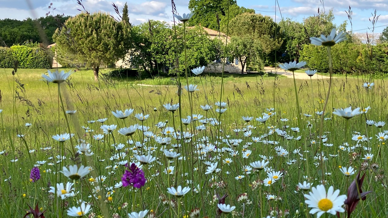 Photo of Outdoor in Sainte-Colombe-de-Villeneuve
