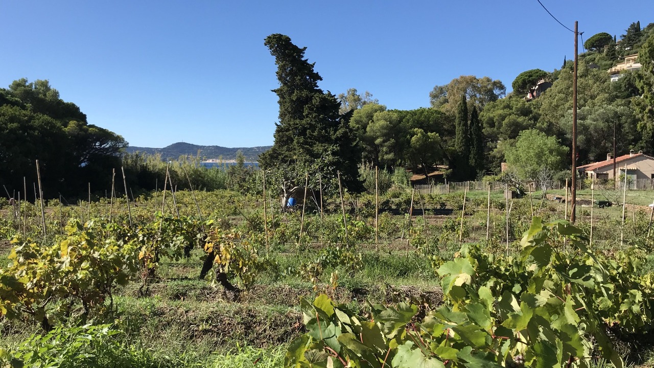 Photo of Outdoor in La Fossette