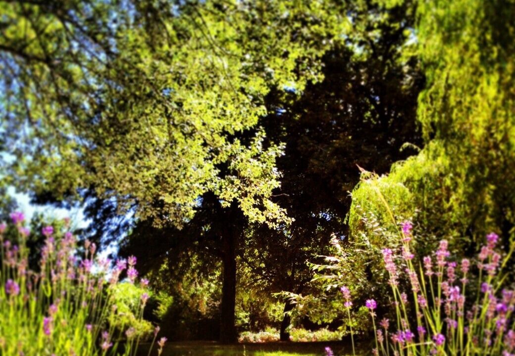 Photo of Outdoor in Berbiguieres
