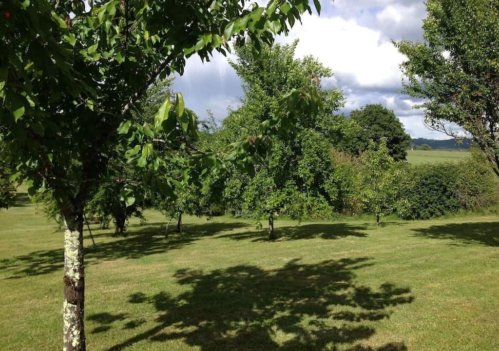 Photo of Outdoor in Berbiguieres