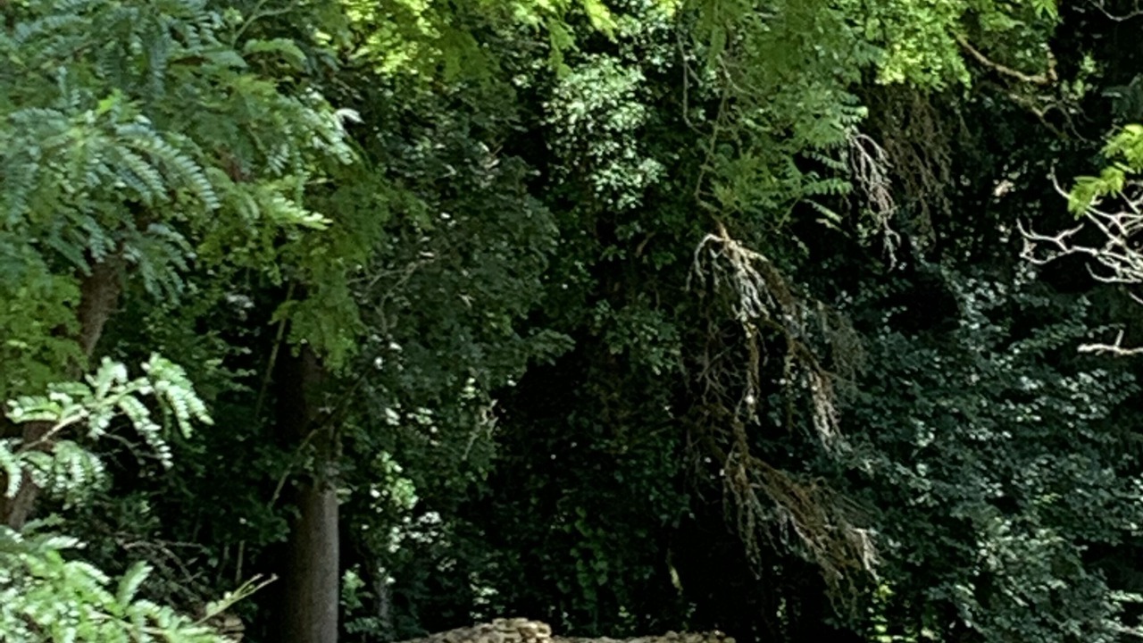 Photo of Outdoor in Montignac