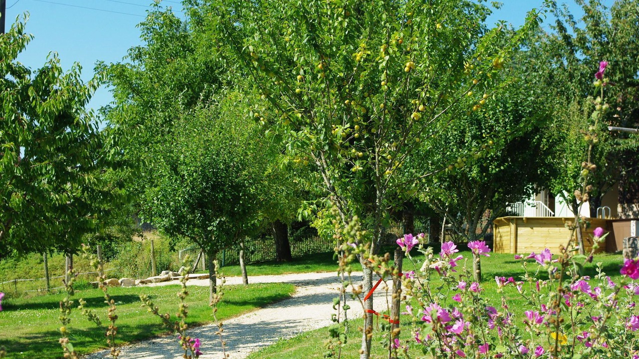 Photo of Outdoor in Campsegret
