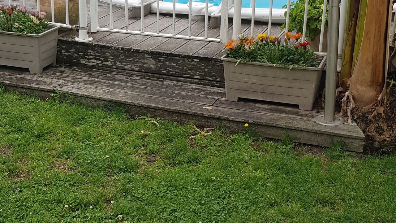 Photo of Outdoor in Begles
