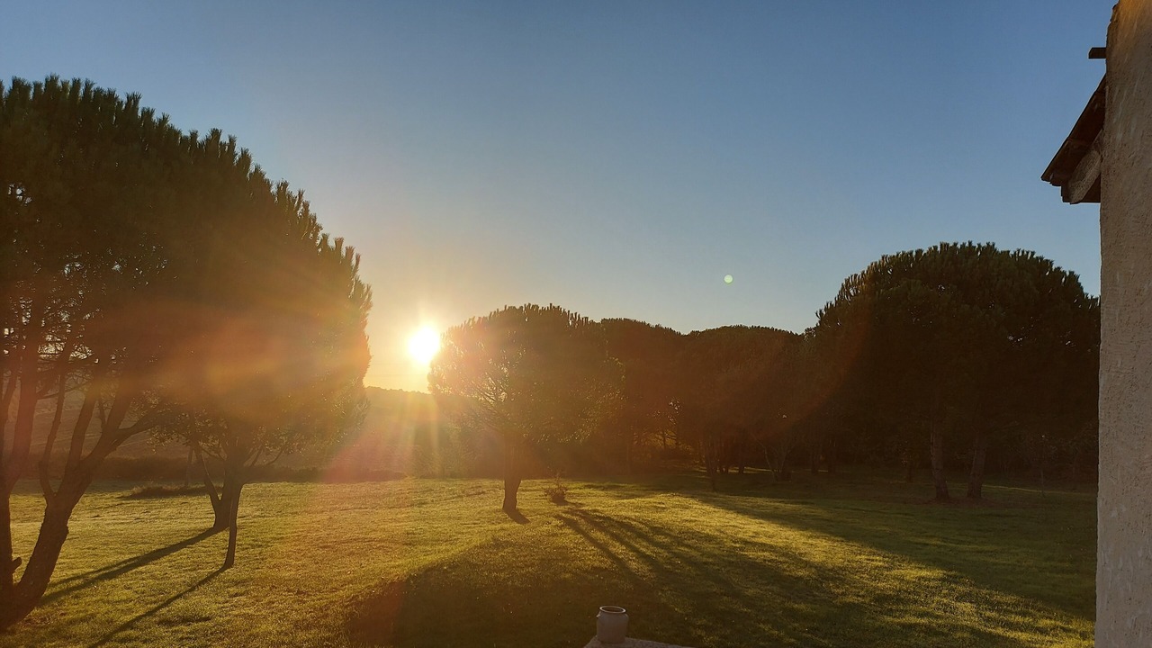 Photo of Outdoor in Saint-Aubin-de-Lanquais