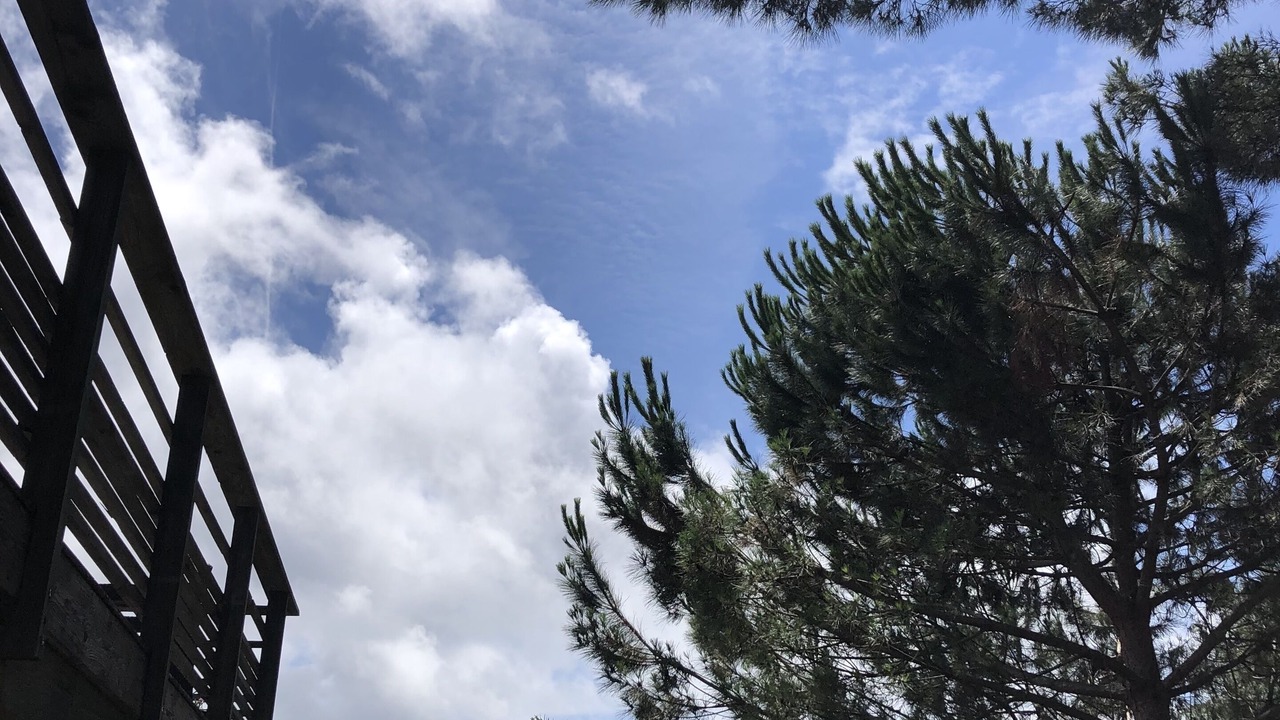 Photo of Outdoor in Arcachon