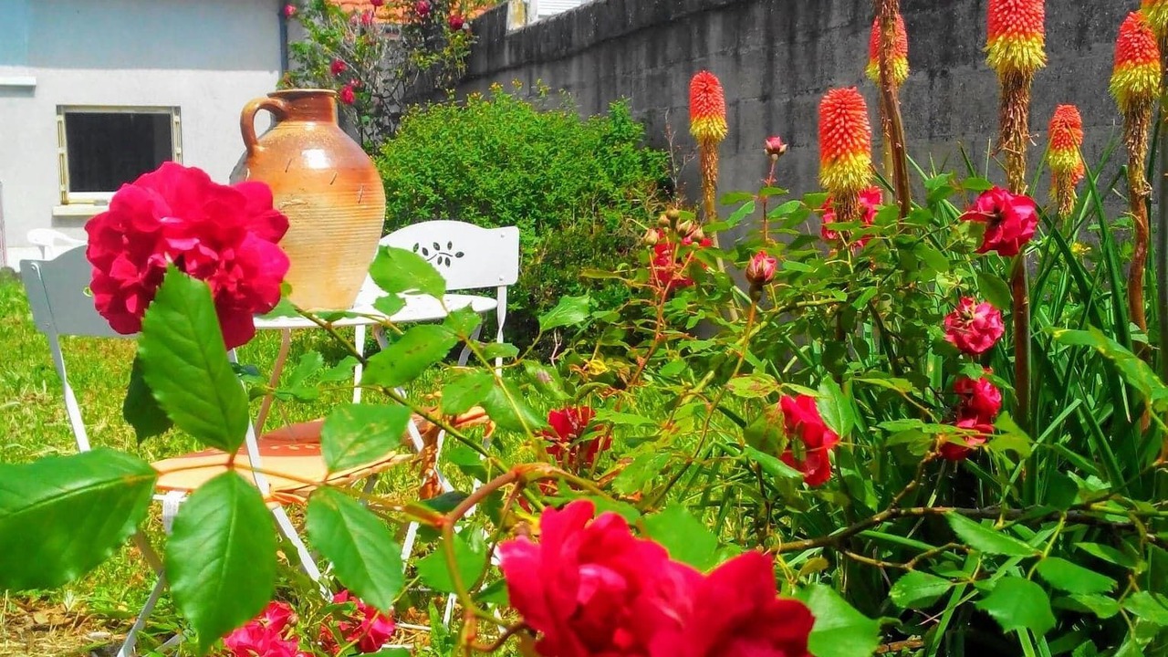 Photo of Outdoor in Chatellerault