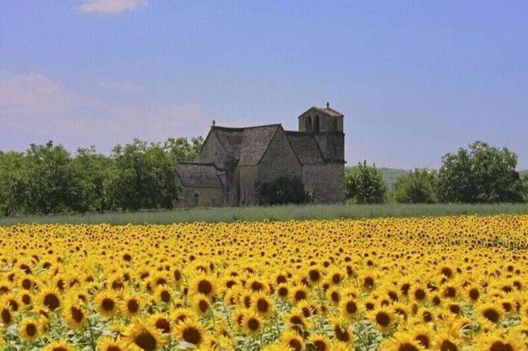 Photo of Outdoor in Saint-Martial-de-Nabirat