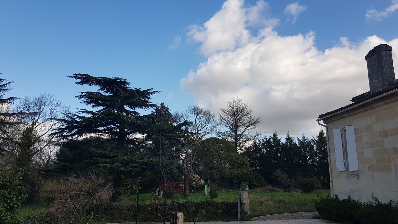Photo of Outdoor in Ambares-et-Lagrave