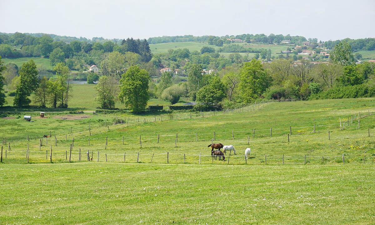 Photo of Others in Availles-Limouzine