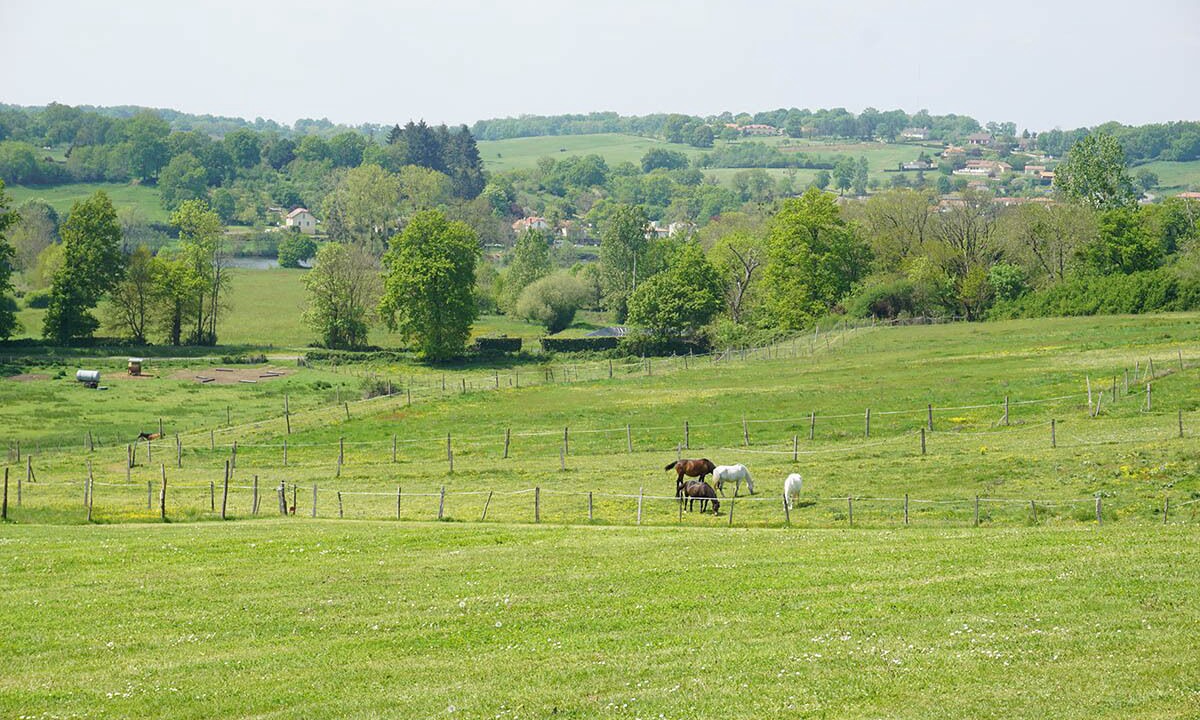 Photo of Others in Availles-Limouzine