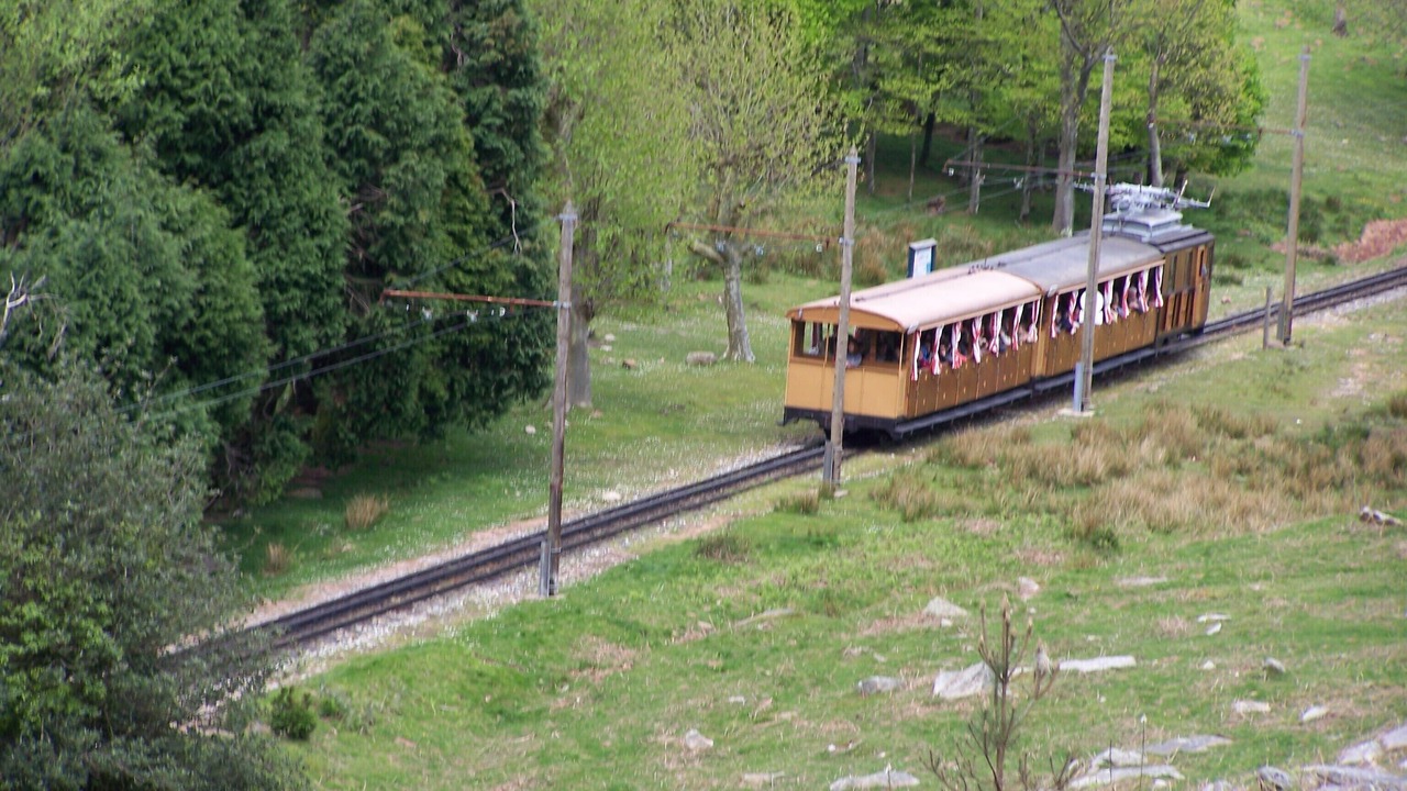 Photo of Outdoor in Saint-Martin-de-Seignanx