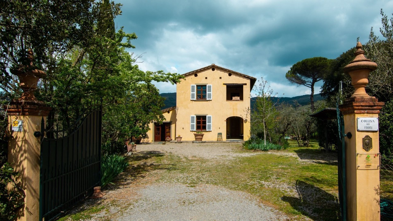 Photo of Others in Castiglion Fiorentino