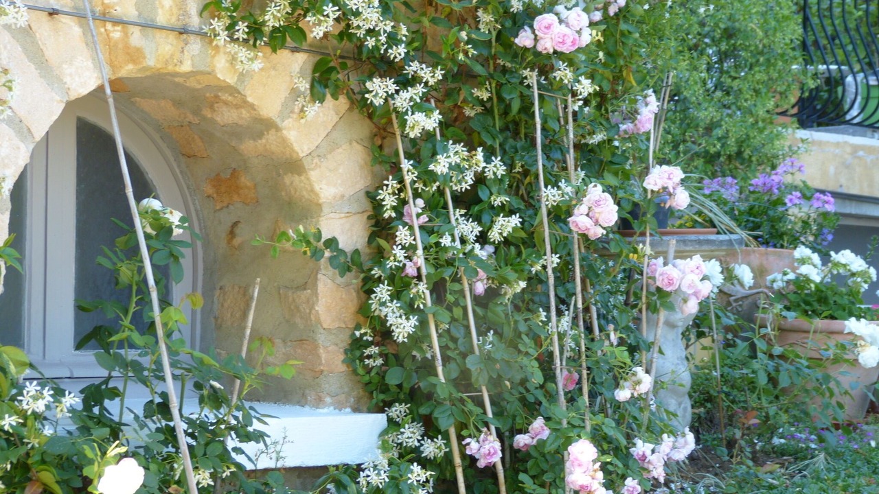 Photo of Outdoor in Sarlat-la-Caneda