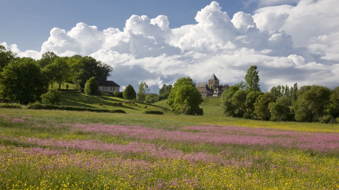Photo of Others in Puy-d'Arnac