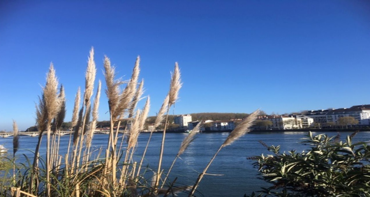 Photo of Others in Bayonne