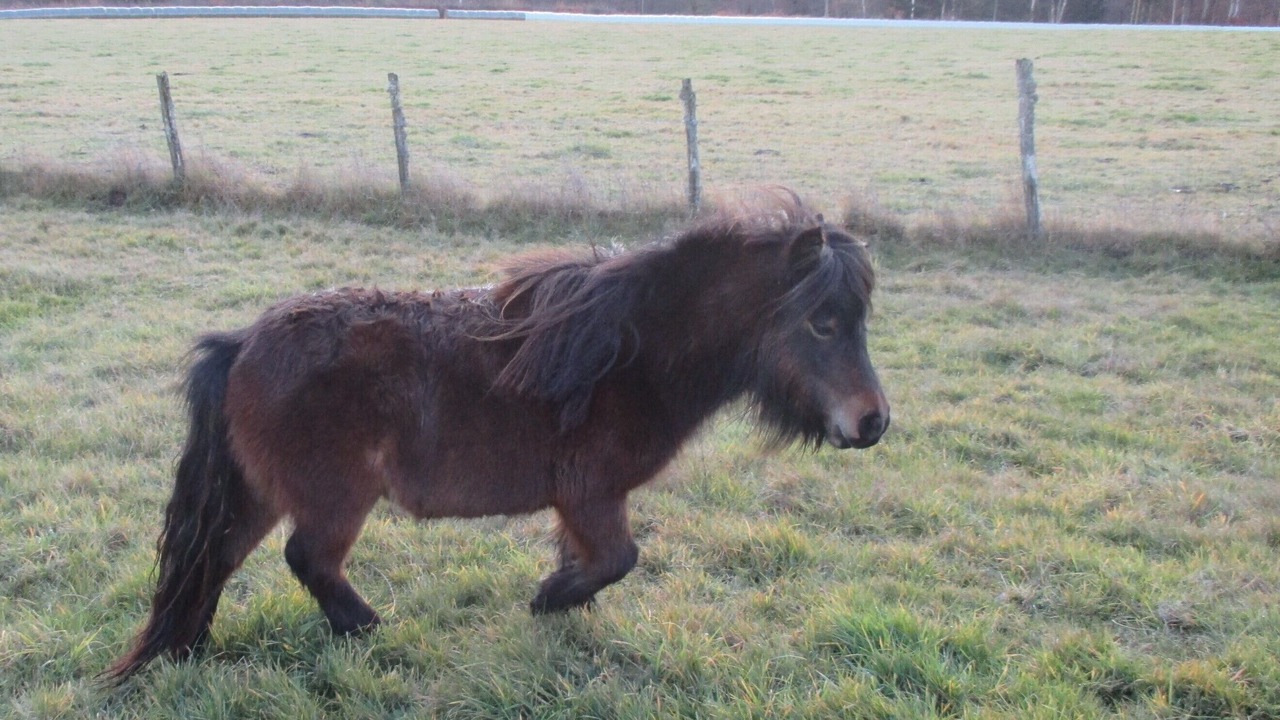 Photo of Outdoor in Bellechassagne
