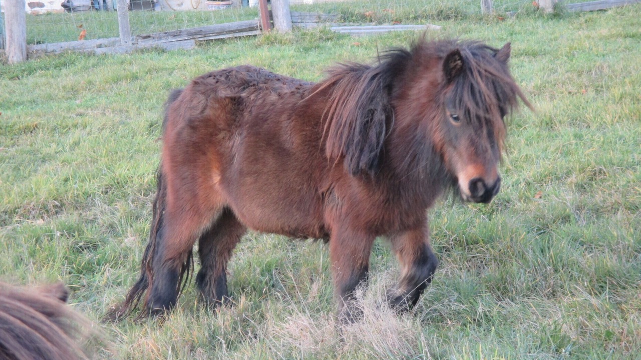 Photo of Outdoor in Bellechassagne