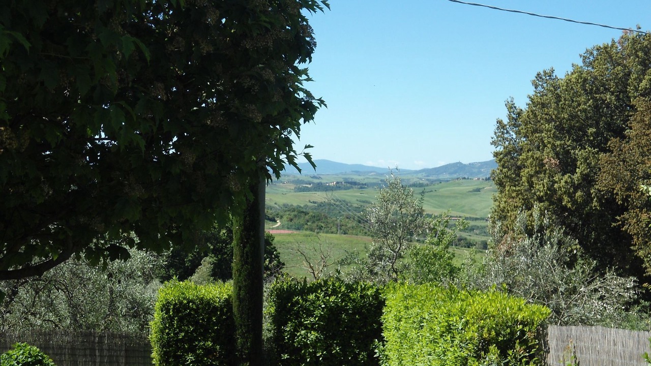 Photo of Others in Montaione