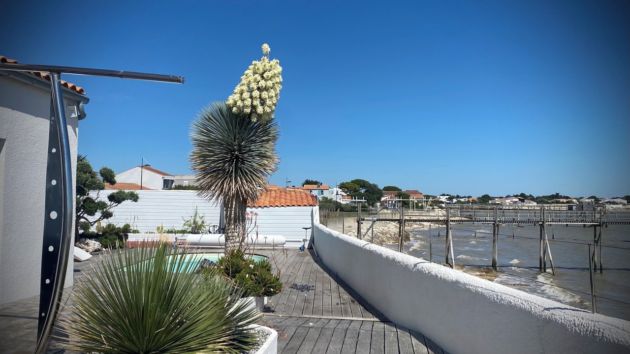 Photo of Outdoor in Angoulins