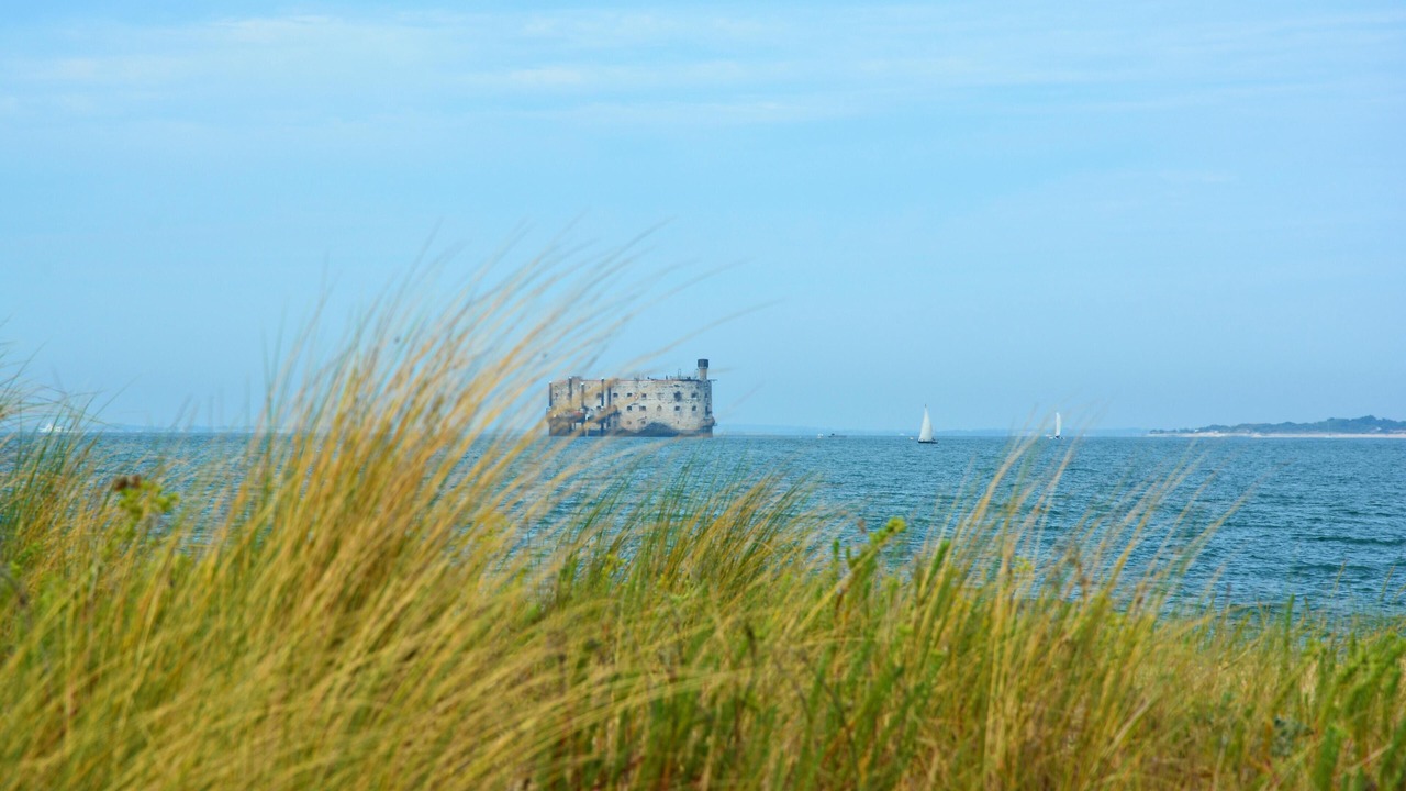Photo of Others in Dolus-d'Oleron