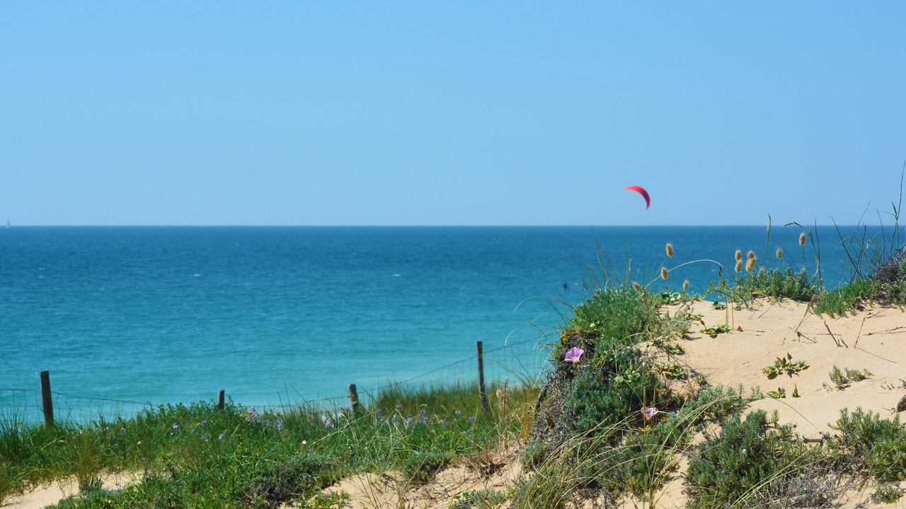 Photo of Others in Dolus-d'Oleron