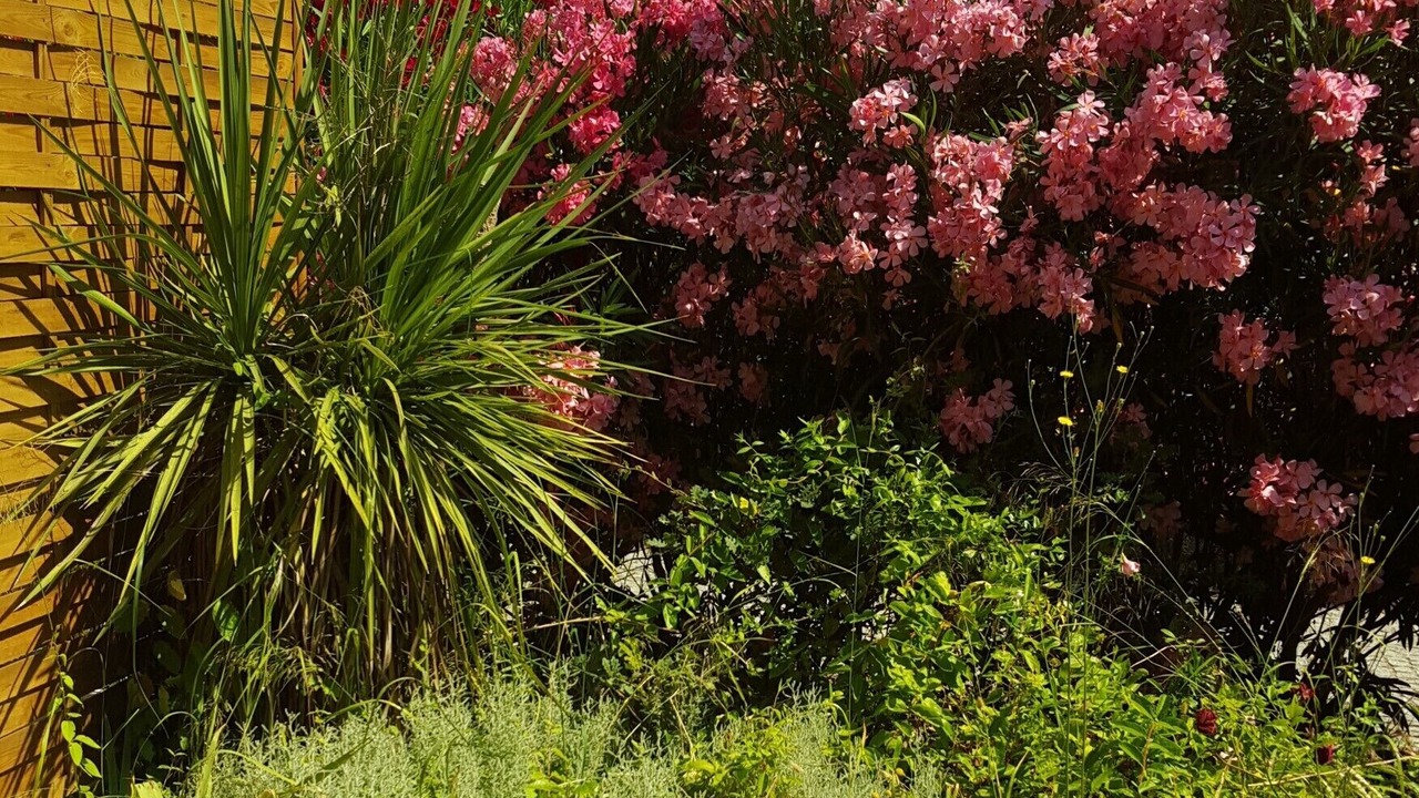 Photo of Outdoor in Les Restanques