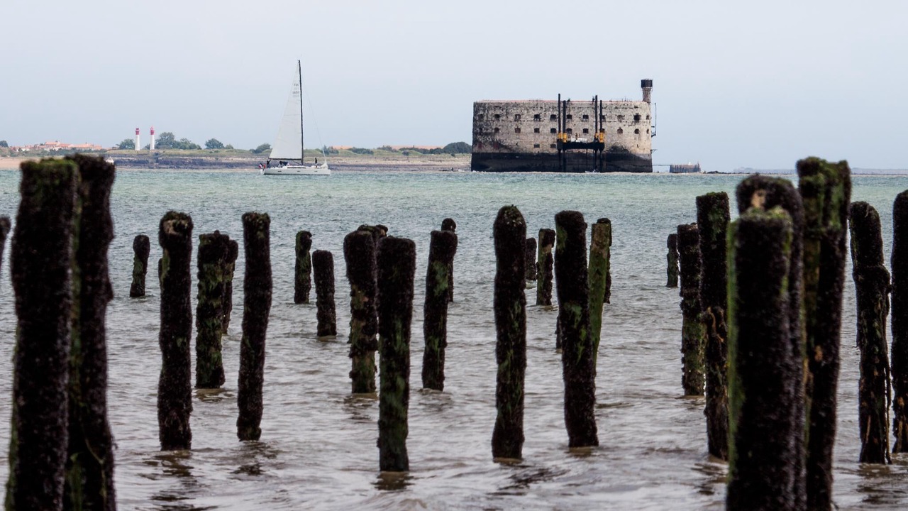 Photo of Others in Dolus-d'Oleron