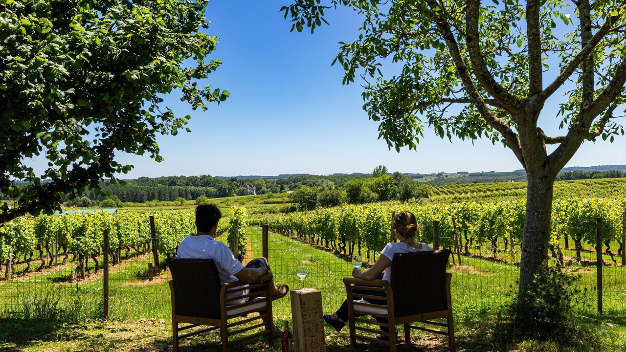 Photo of Outdoor in Monbazillac