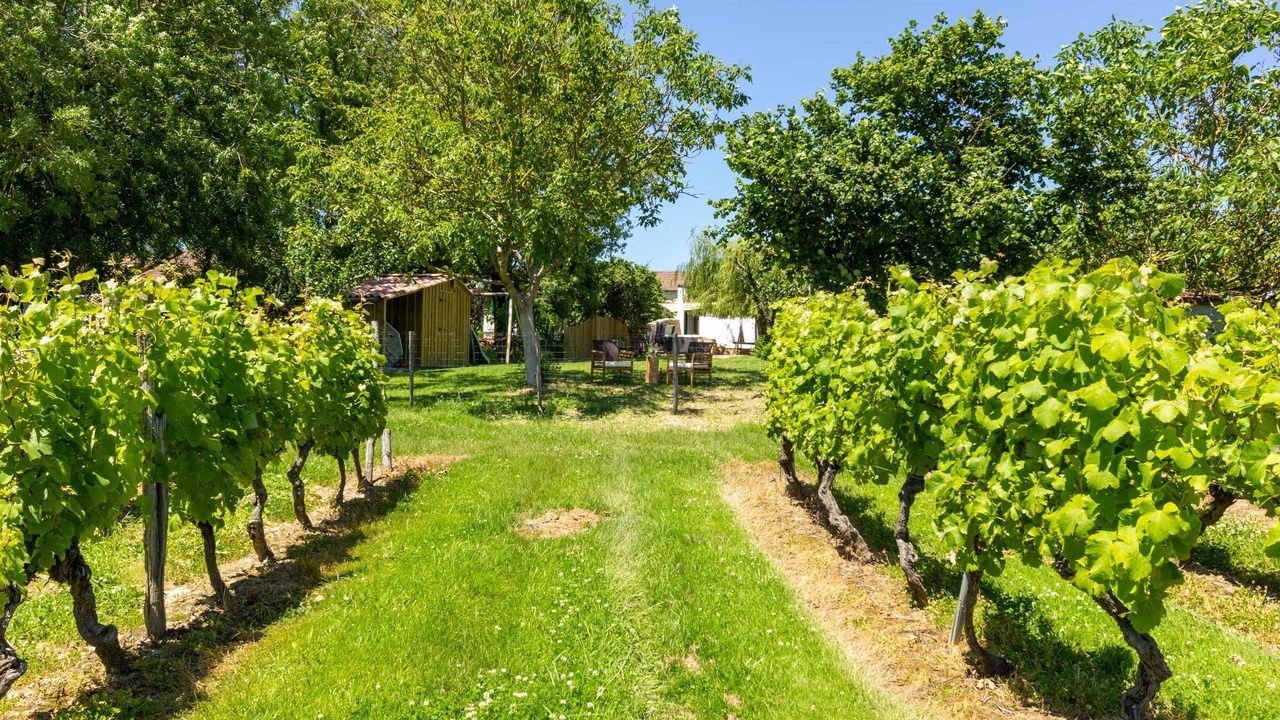 Photo of Others in Monbazillac
