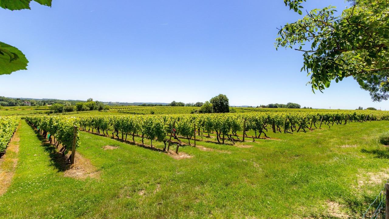 Photo of Others in Monbazillac