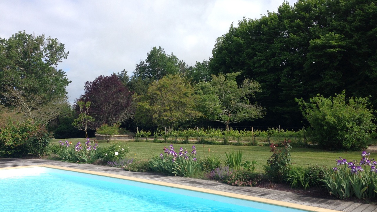 Photo of Outdoor in Saint Palais