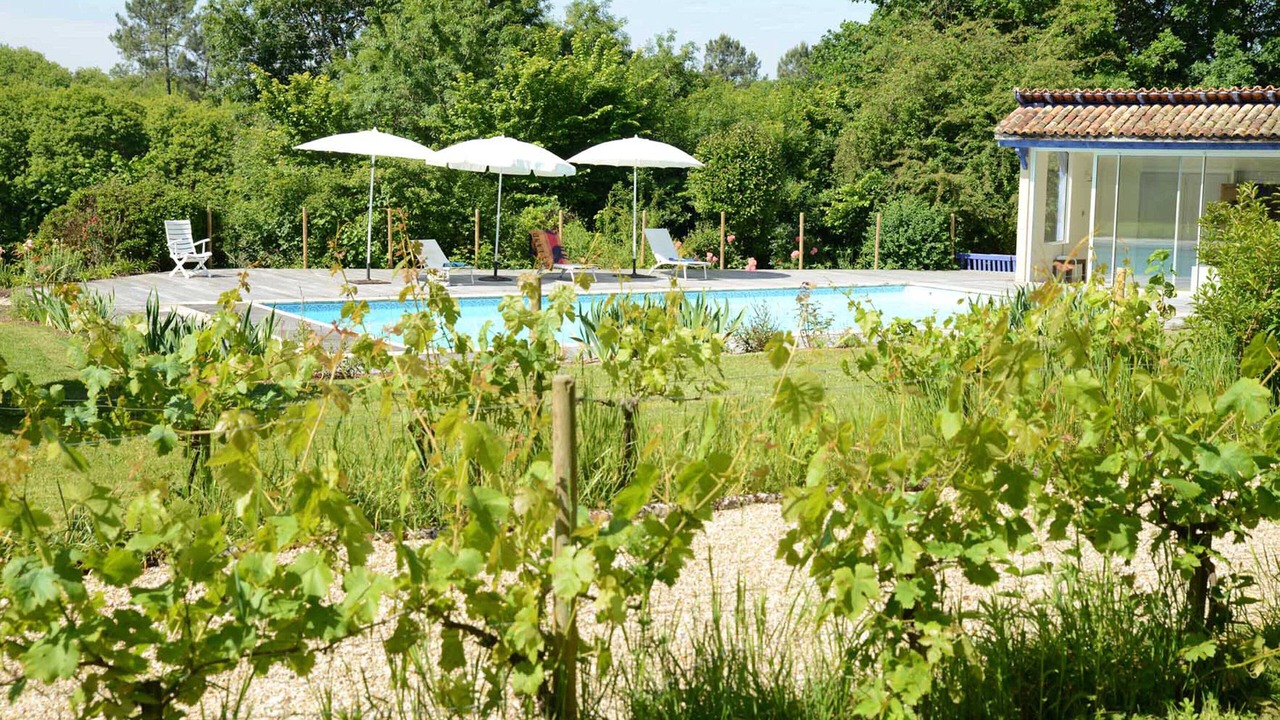 Photo of Outdoor in Saint Palais