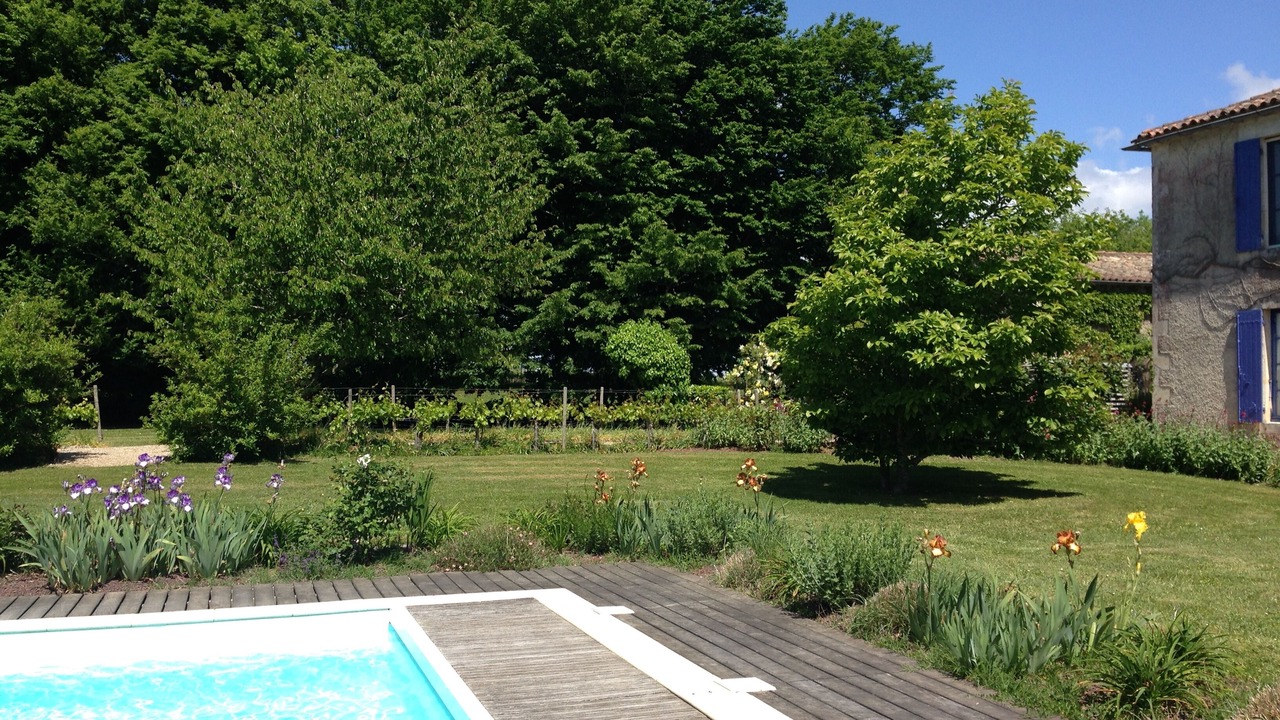 Photo of Outdoor in Saint Palais