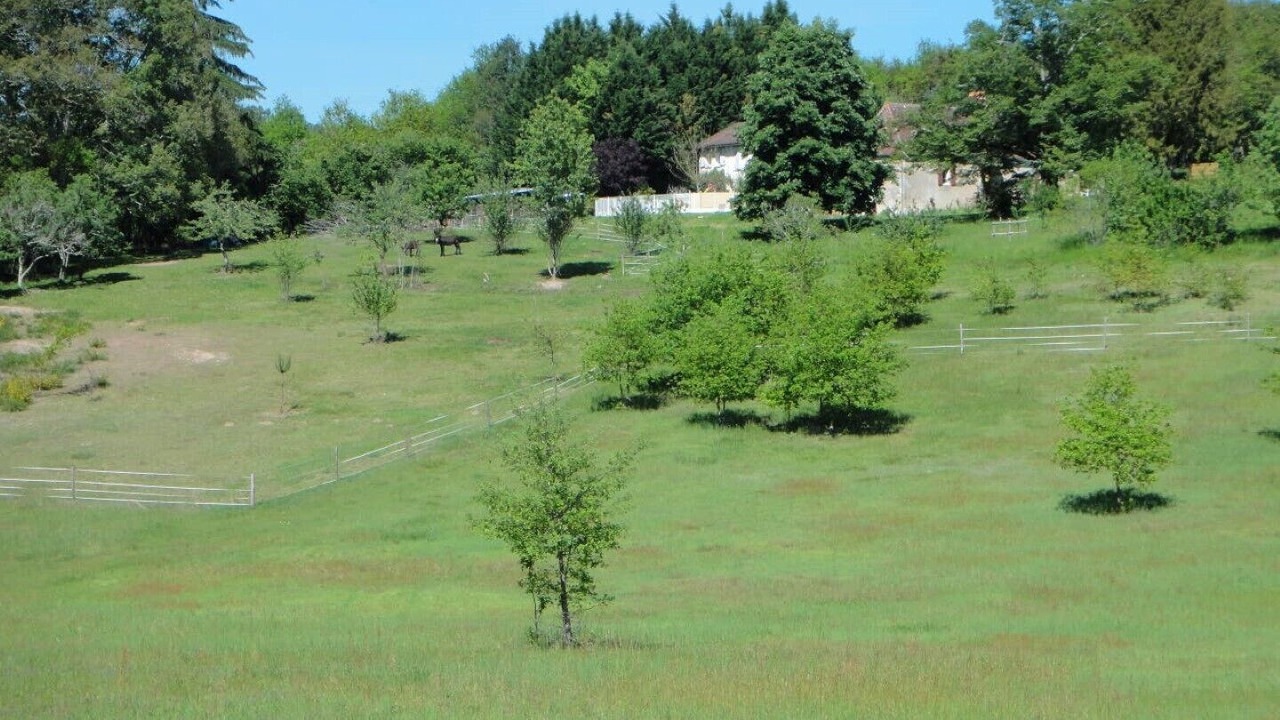 Photo of Outdoor in Saint-Pierre-de-Chignac