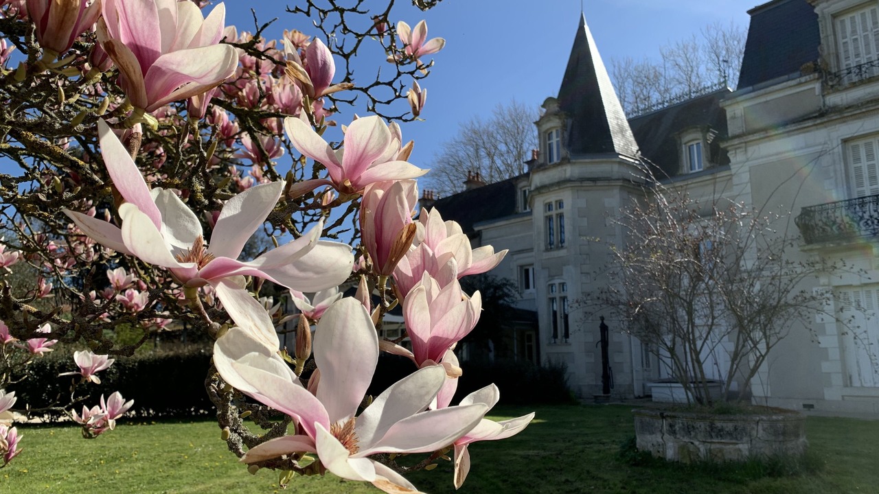 Photo of Outdoor in Bouresse